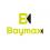 Baymax Safety