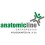 AnatomicLine