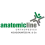 AnatomicLine