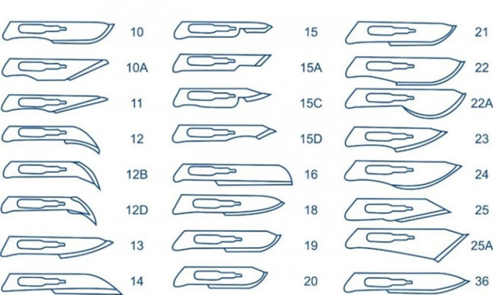 Paramount Νυστέρια με λαβή N.12 10 τεμαχίων 12NS