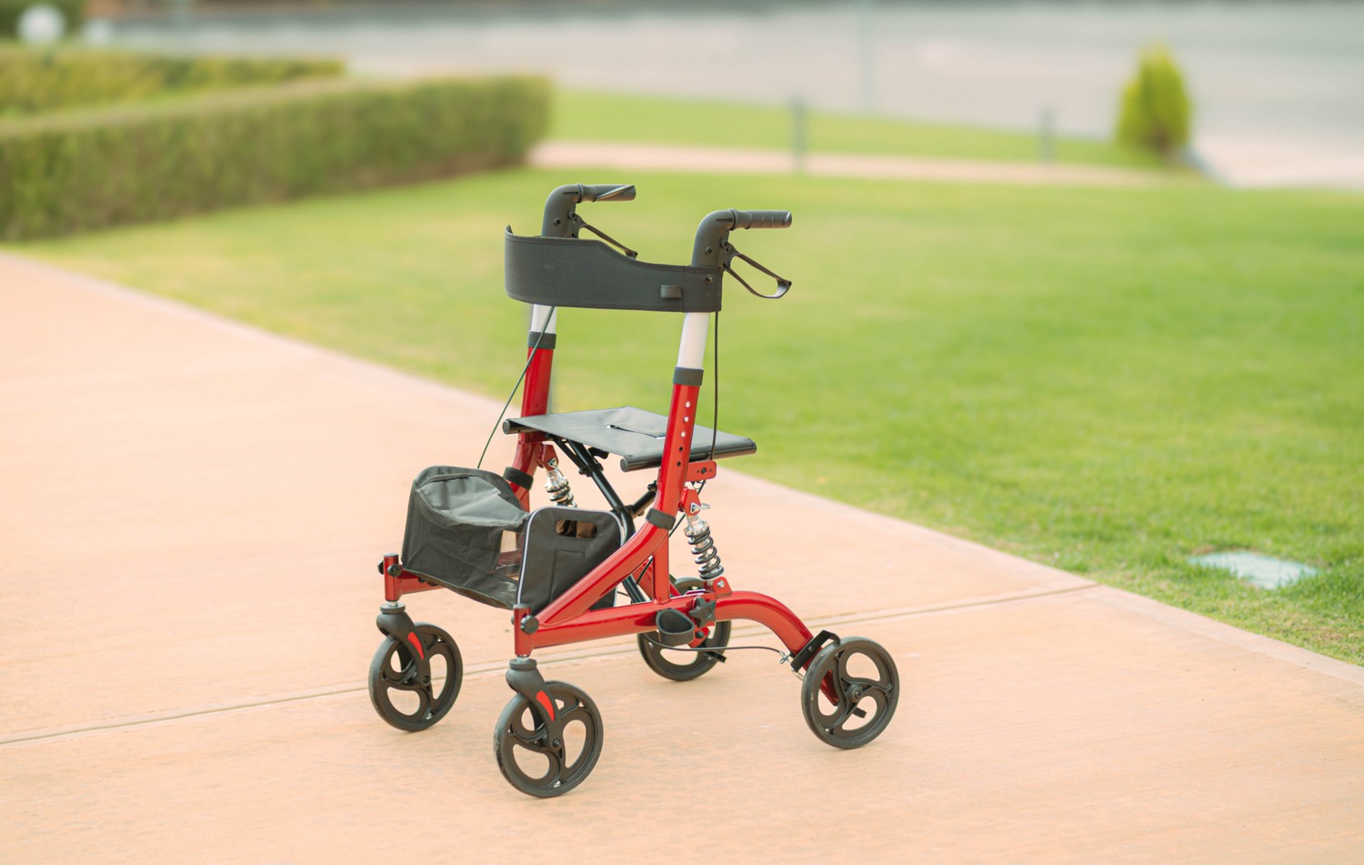Περιπατητήρας Rollator “RUBY” (μέχρι 136 kg) 0805452