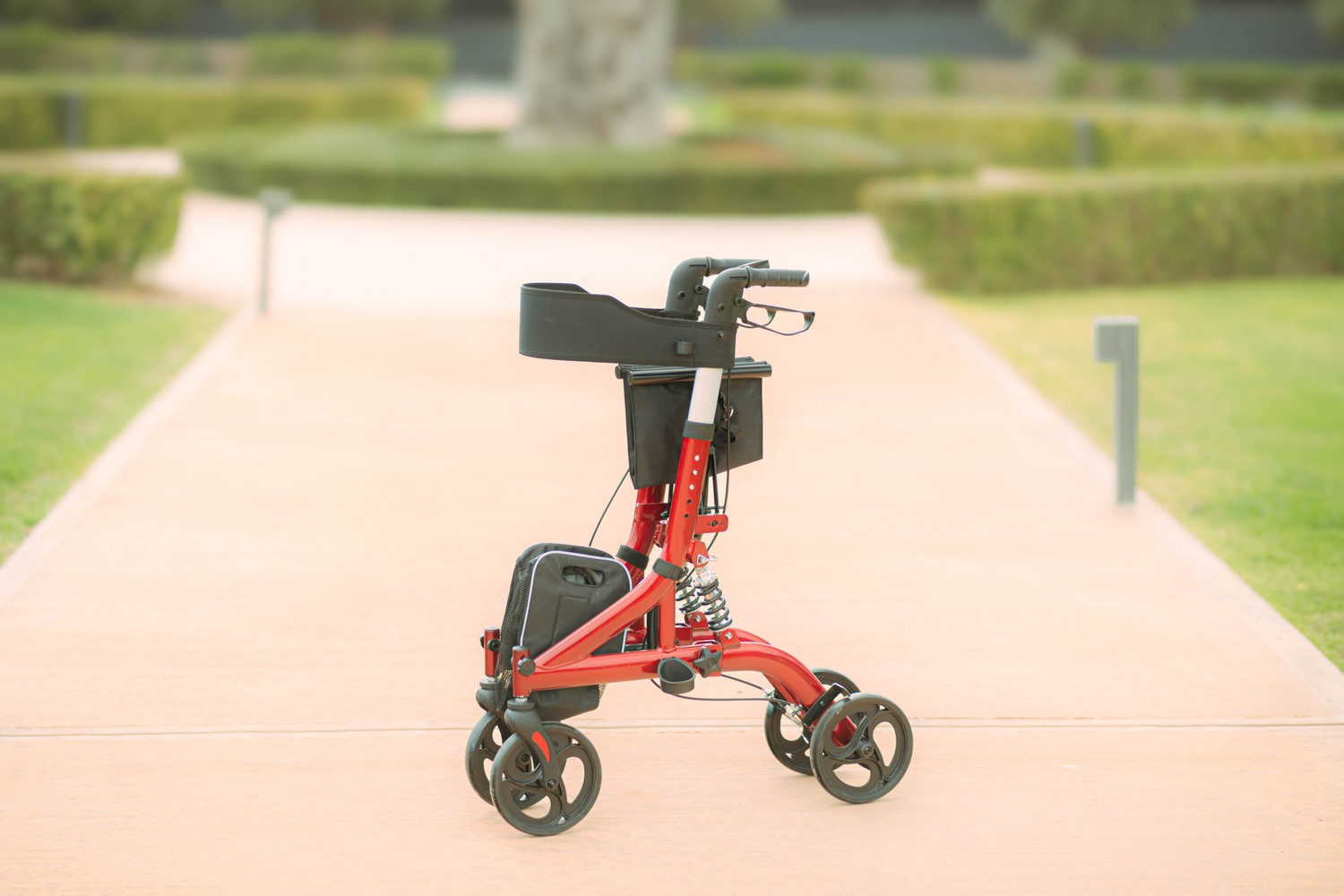 Περιπατητήρας Rollator “RUBY” (μέχρι 136 kg) 0805452