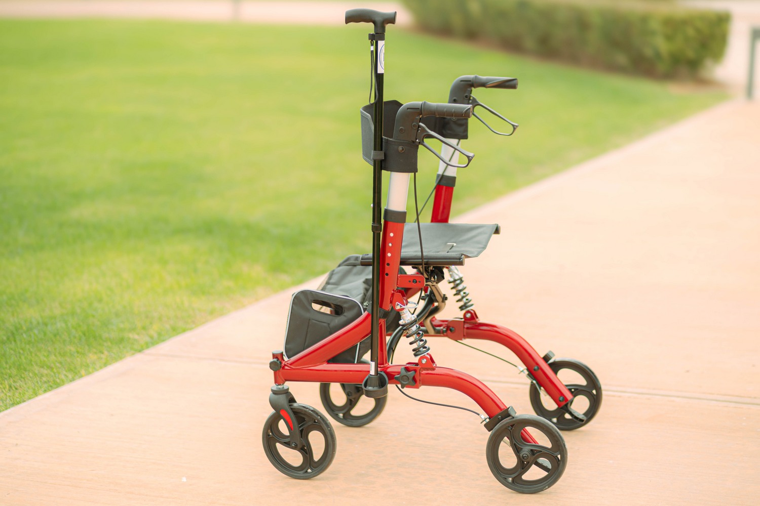 Περιπατητήρας Rollator “RUBY” (μέχρι 136 kg) 0805452